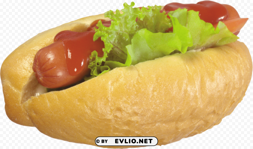 Hot Dog Isolated Icon On Transparent PNG