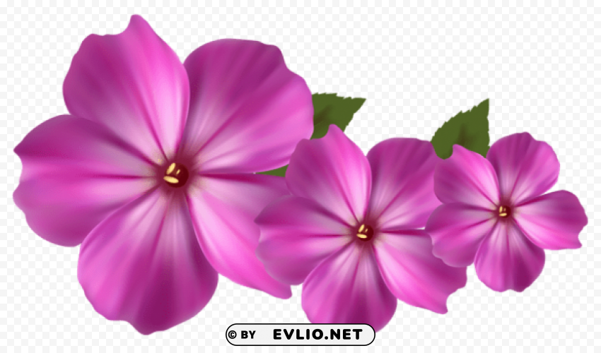 pink flower decor Transparent PNG Object with Isolation