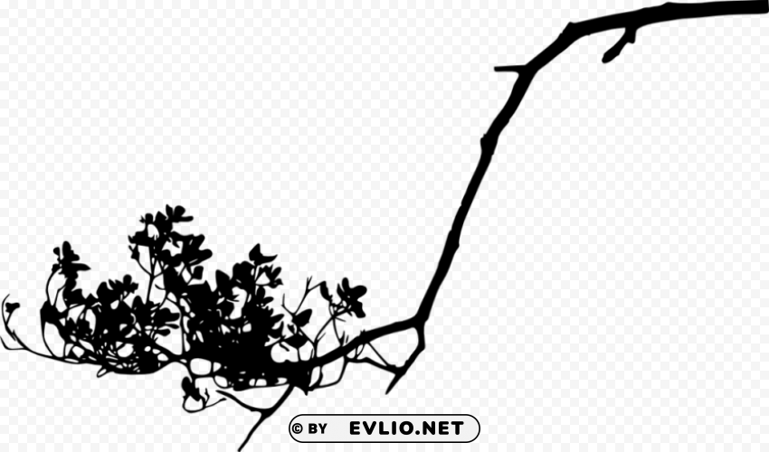tree branch silhouette Transparent PNG graphics complete collection