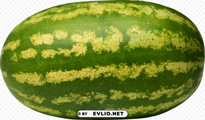 watermelon PNG Image Isolated with Transparent Detail