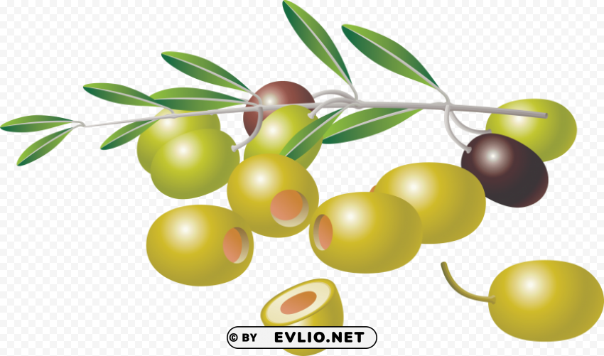 olives PNG files with alpha channel assortment