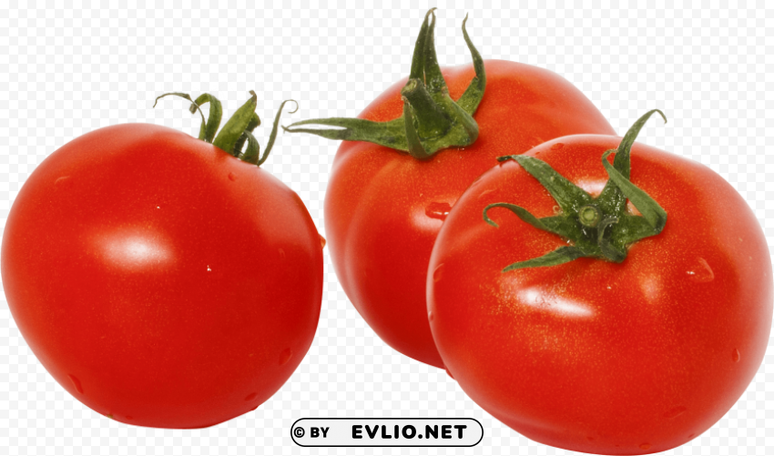 tomato Transparent PNG Isolated Object with Detail