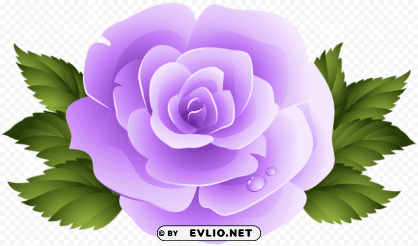 PNG image of purple rose PNG Graphic with Clear Isolation with a clear background - Image ID ddf6387e