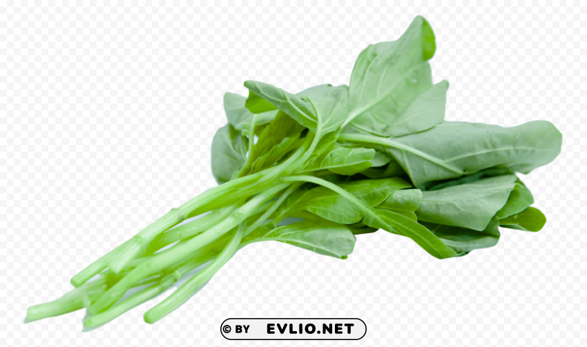 chinese spinach PNG download free
