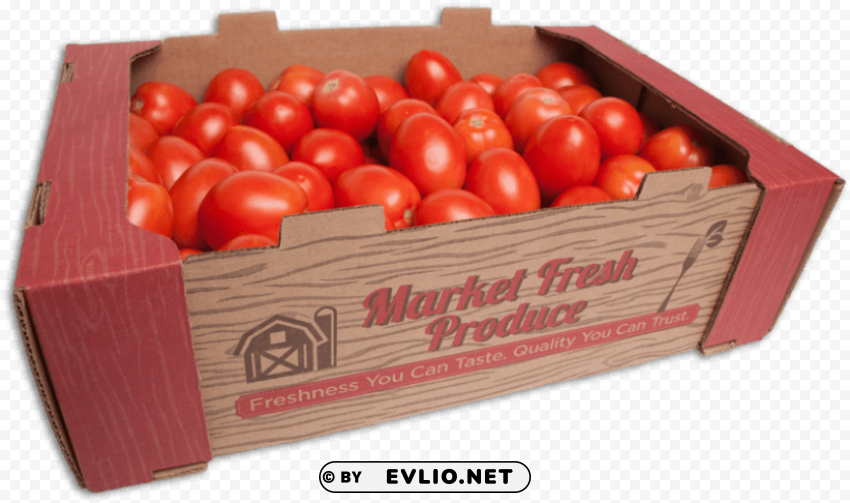 roma tomato Transparent PNG Isolated Subject Matter