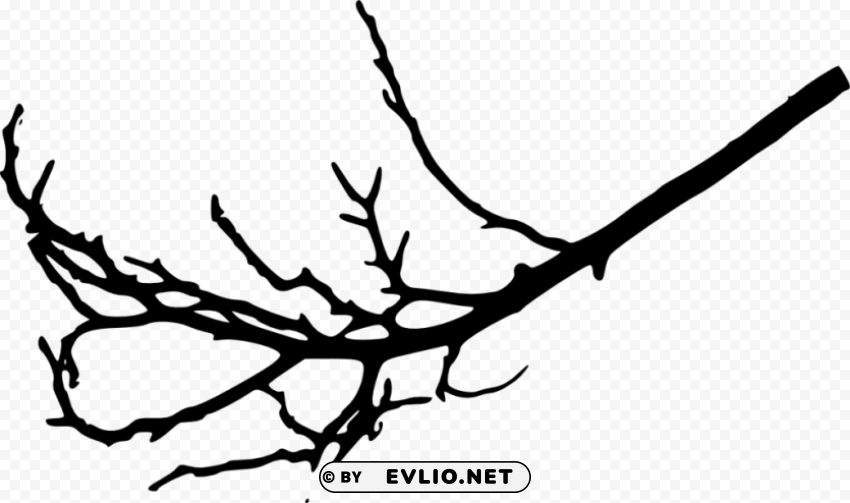 tree branches silhouette Isolated Artwork in Transparent PNG