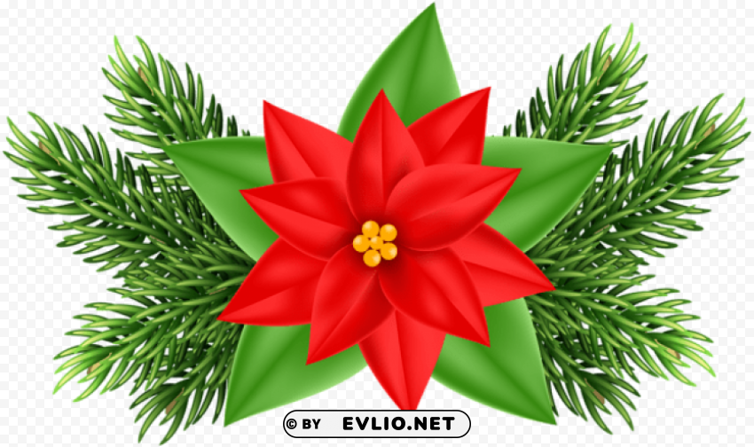 christmas poinsettia deco Transparent Background Isolation in PNG Image