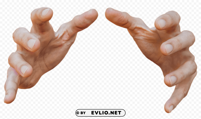 hands Transparent Background PNG Isolated Design