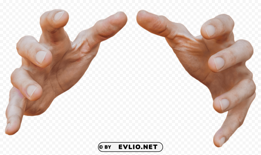 Hands Transparent Background PNG Isolated Design