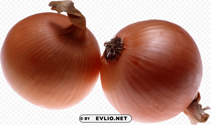 onion PNG Image Isolated on Transparent Backdrop