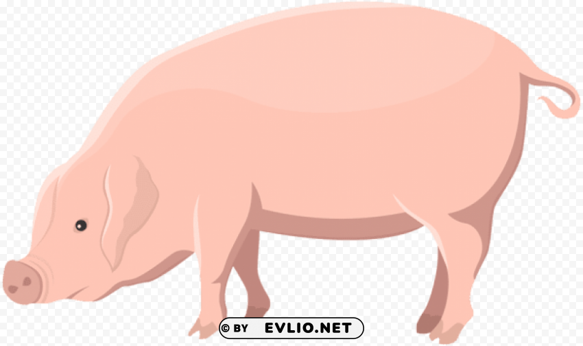 pig transparent PNG files with transparency