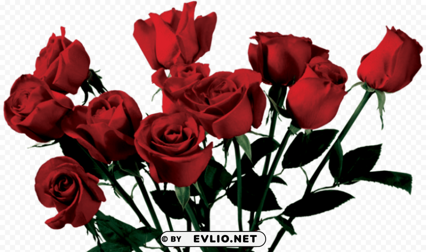 rose aesthetic PNG transparent images for printing PNG transparent with Clear Background ID b73a792d