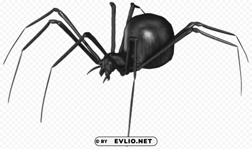 spider PNG Isolated Subject with Transparency clipart png photo - c4562b12