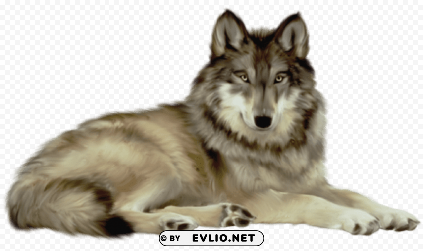  wolf Isolated Object in Transparent PNG Format