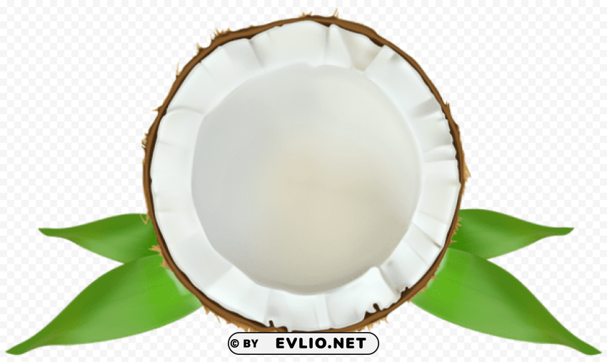 coconut transparent Clear PNG graphics free