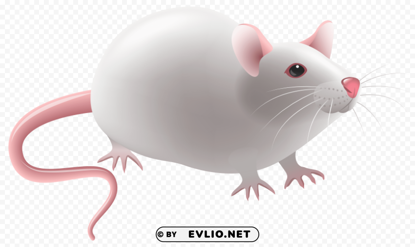 mouse PNG Image with Isolated Artwork clipart png photo - 7f003e48