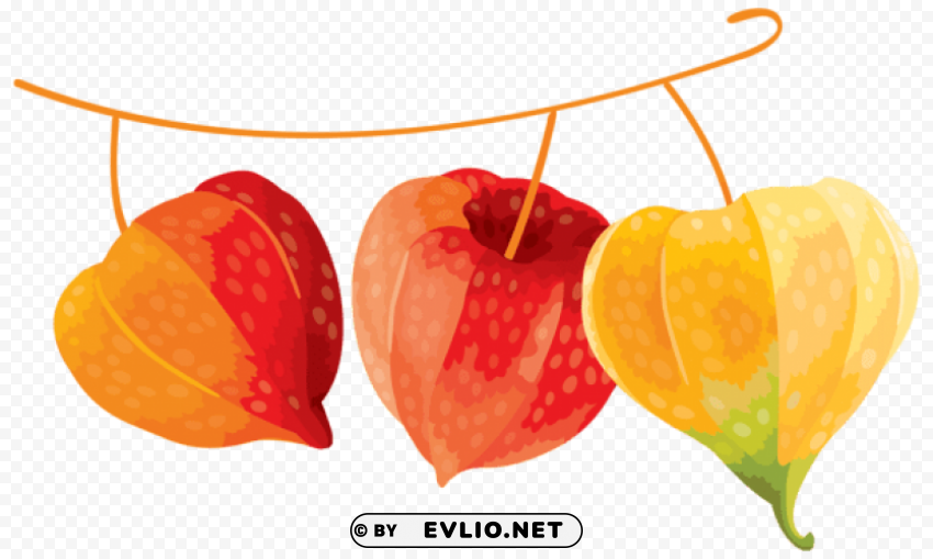 autumn decoration HighQuality Transparent PNG Isolated Graphic Design