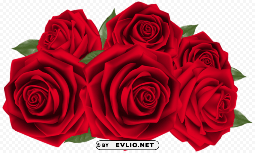beautiful dark red roses PNG graphics with clear alpha channel selection