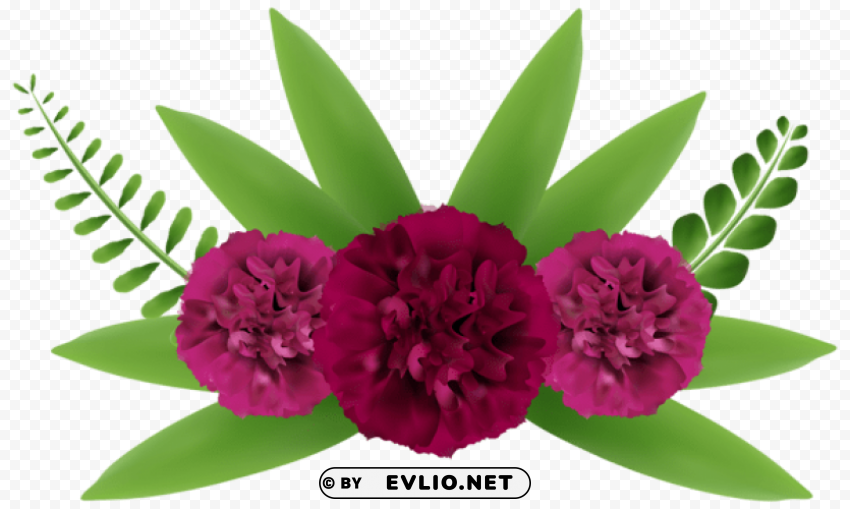 beautiful flowers clip-art Transparent PNG Isolated Object