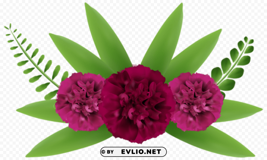 Beautiful Flowers Clip-art Transparent PNG Isolated Object