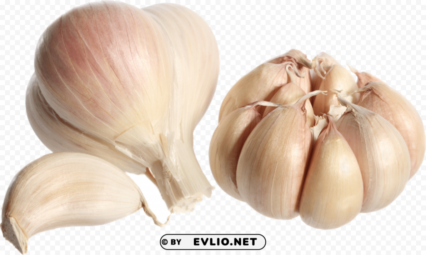 garlic Free PNG images with transparent layers