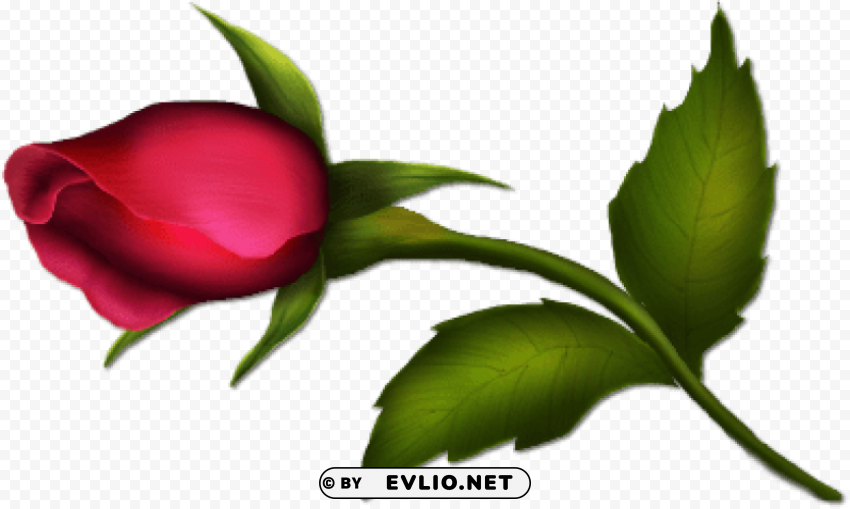 rose bud painted Clear PNG file