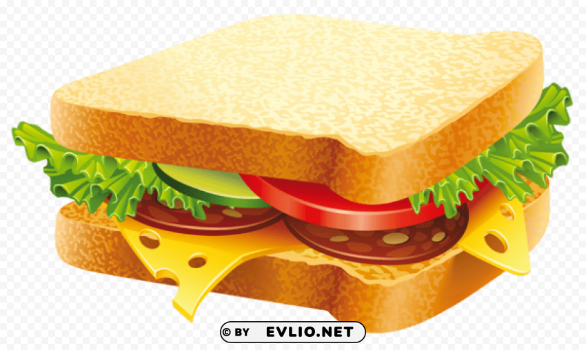 sandwich PNG for educational use