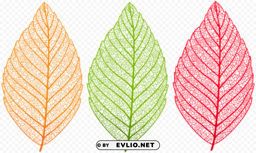 transparent leaves set PNG images with alpha transparency selection clipart png photo - 55d9c73f