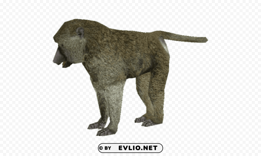 baboon Transparent Background Isolation of PNG