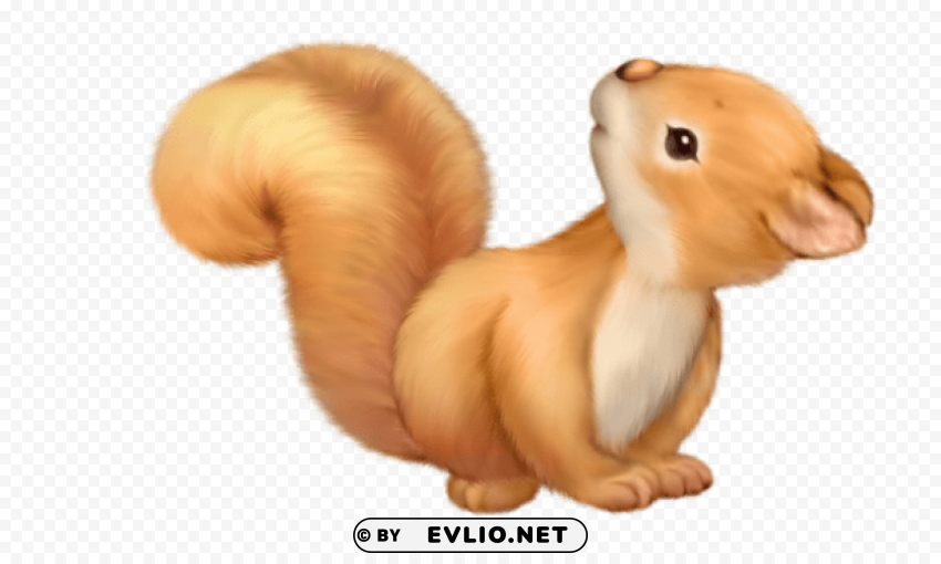 cute squirrel free Isolated Item on Clear Background PNG