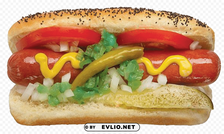 hot dog High-resolution transparent PNG images variety