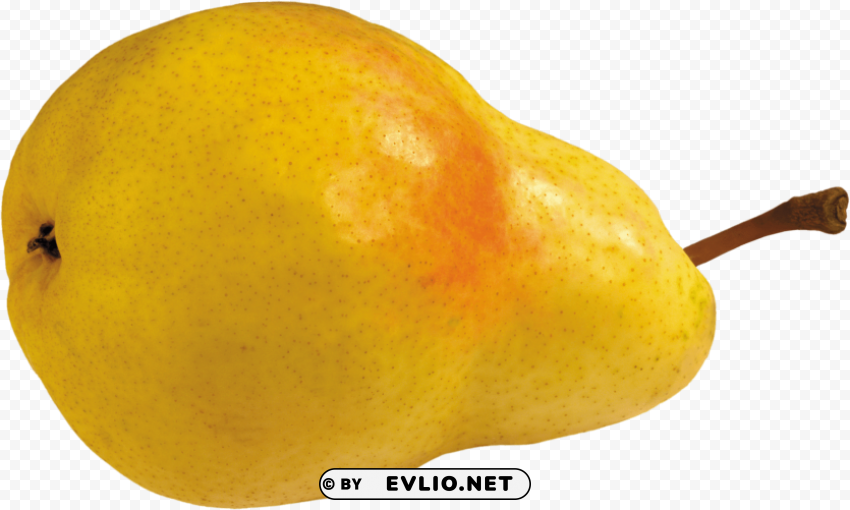 pear Isolated Illustration in Transparent PNG