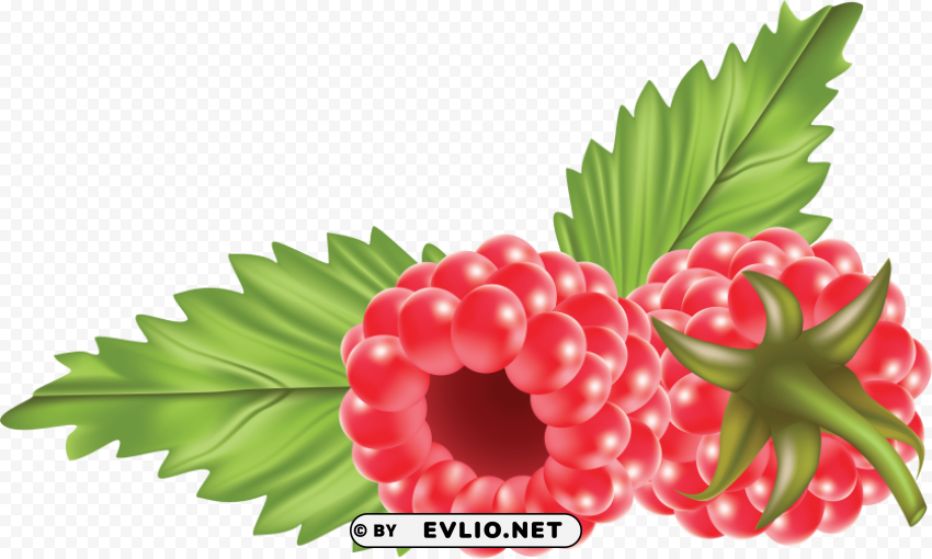 Raspberry Free PNG Download No Background