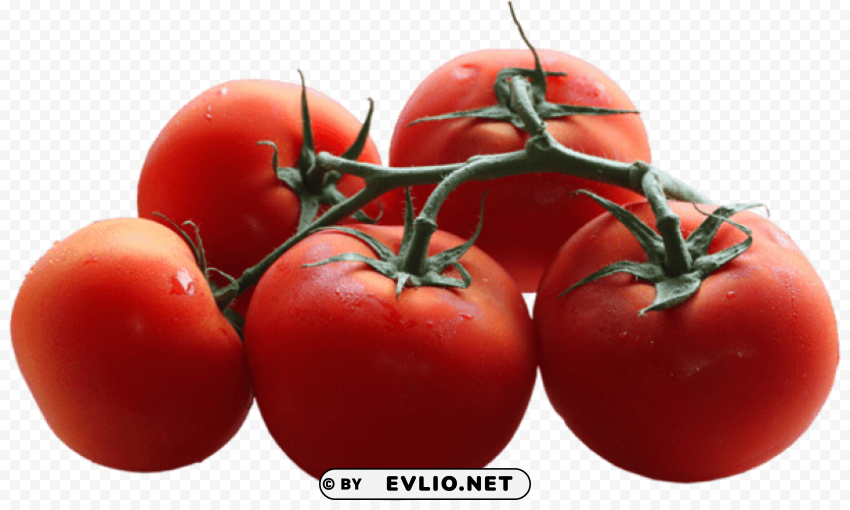 tomatoes branch PNG images with transparent overlay