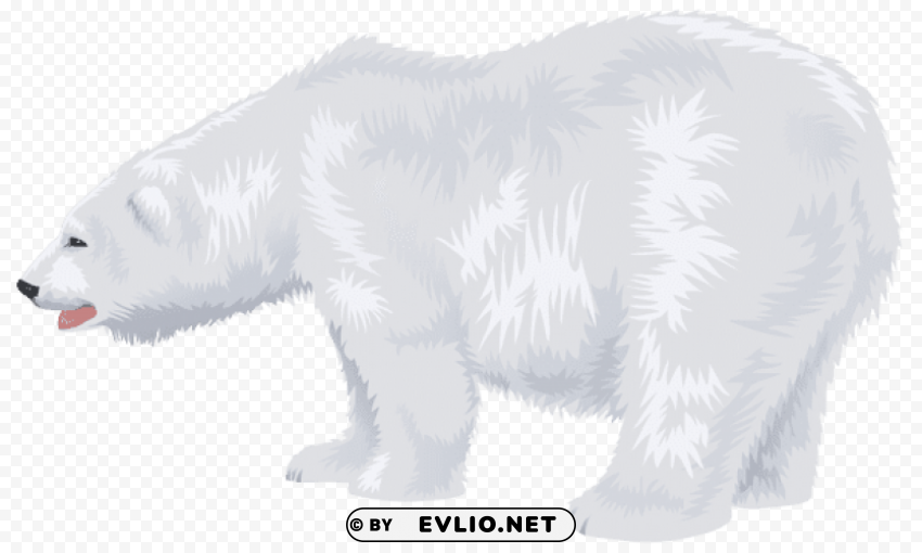 white polar bear transparent PNG files with clear backdrop collection