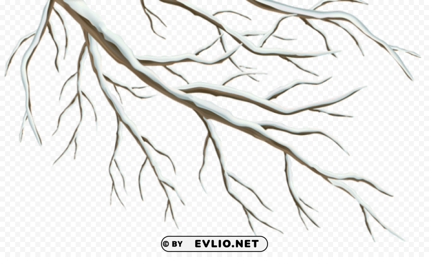winter branch PNG images with alpha channel diverse selection
