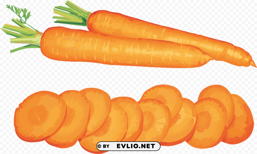 carrot PNG for t-shirt designs clipart png photo - 3d05deaa