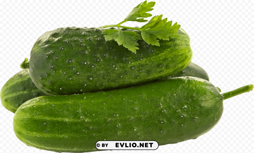 cucumber HighResolution Transparent PNG Isolated Element PNG images with transparent backgrounds - Image ID f0a72e0b