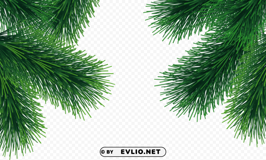 fir tree Isolated Character with Transparent Background PNG