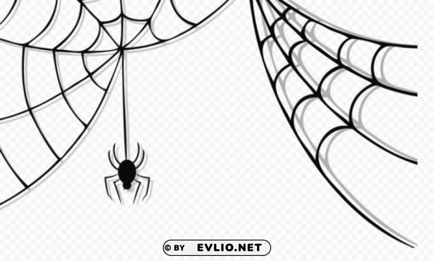 halloween spider web Transparent background PNG gallery
