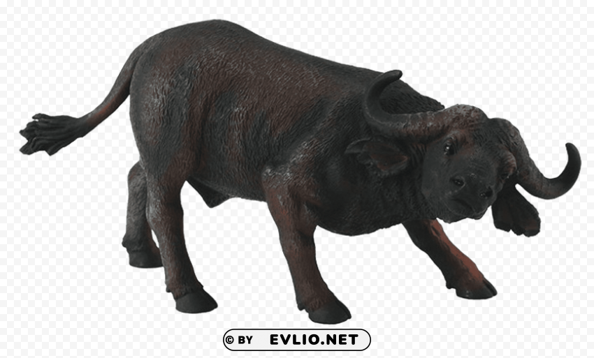 african buffalo pictures Free PNG file