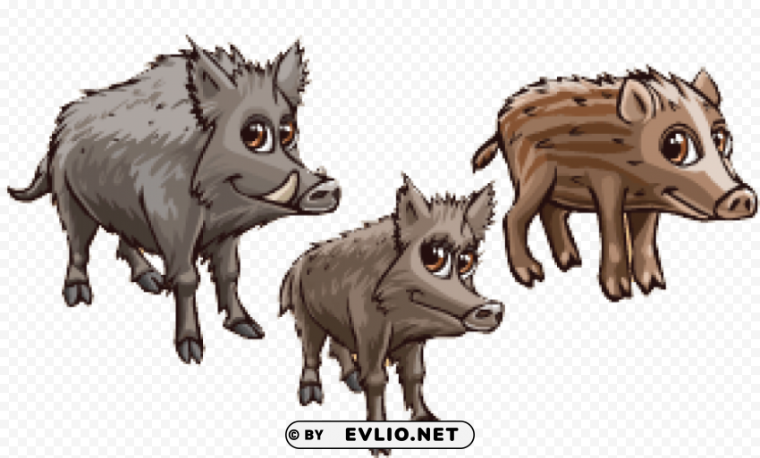 boar Isolated Element in Clear Transparent PNG