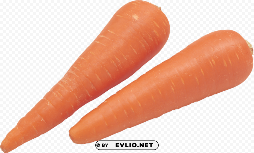 carrot PNG images with transparent canvas