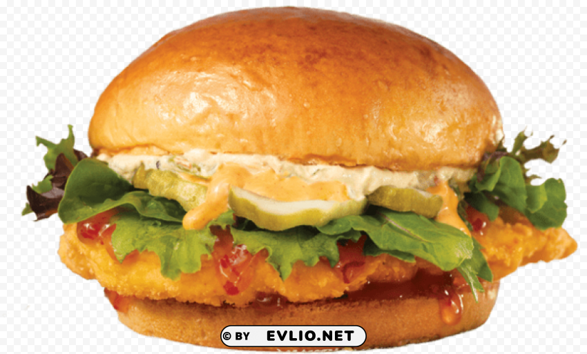 spicy thai chicken sandwich PNG transparent photos for design PNG transparent with Clear Background ID fddebb9e