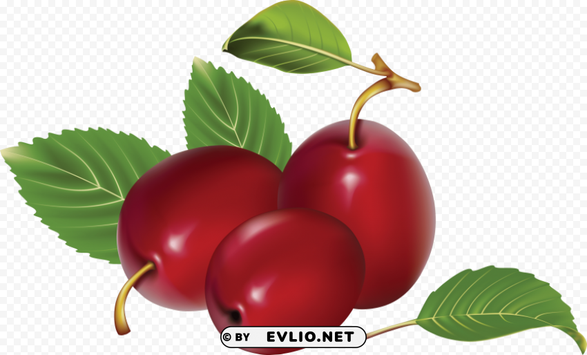plum High-resolution PNG images with transparency wide set