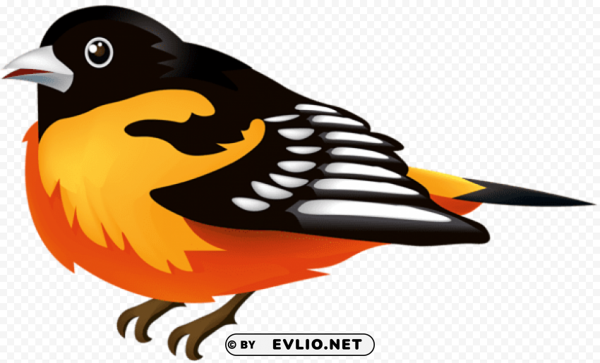 bird Isolated Character on Transparent PNG