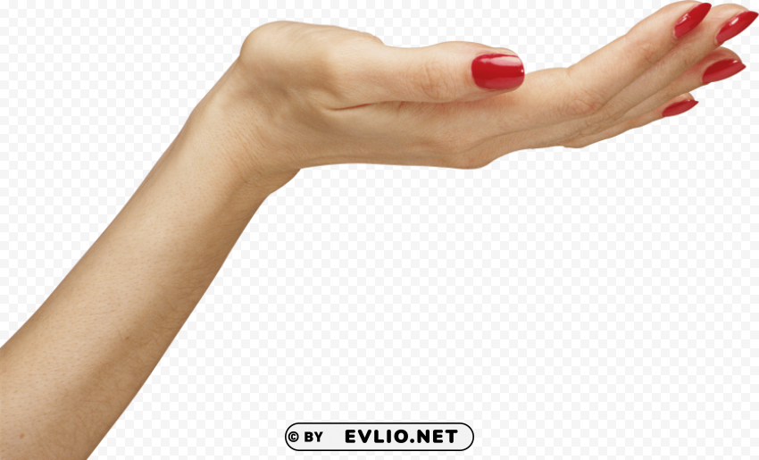 hands PNG Image with Clear Isolation