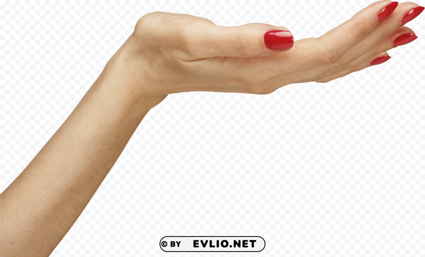 Hands PNG Image With Clear Isolation