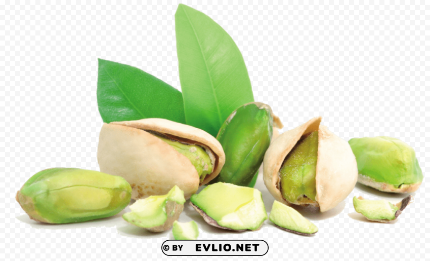 pistachios Transparent PNG pictures for editing PNG images with transparent backgrounds - Image ID 82d2e158