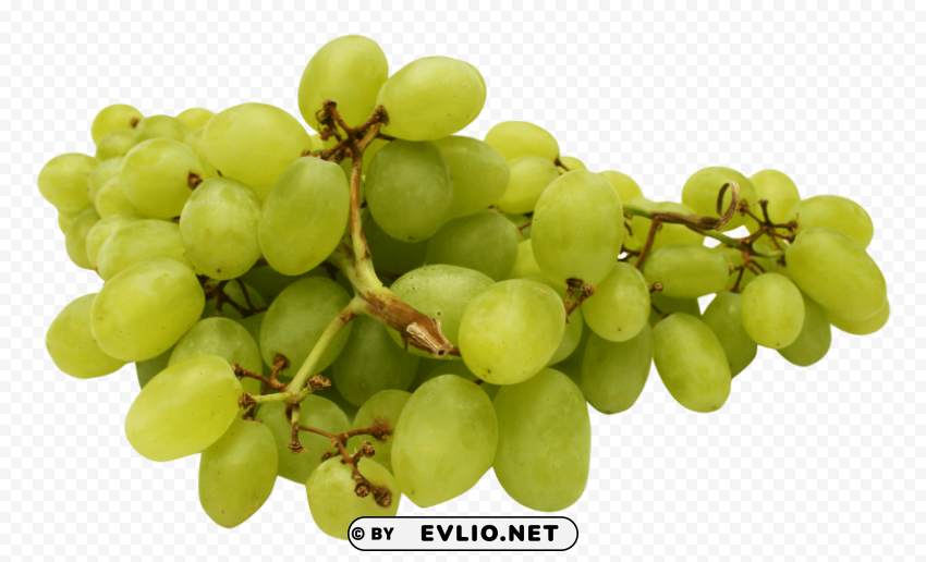 Green Grapes PNG files with transparent canvas extensive assortment